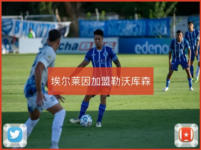 埃尔莱因加盟勒沃库森